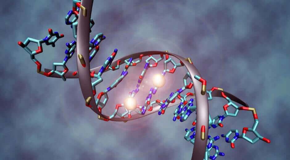 Όλα όσα πρέπει να ξέρετε για το DNA μας