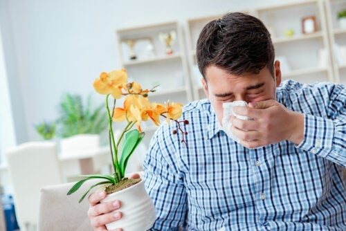 Αλλεργική ρινίτιδα: 10 θεραπείες για την καταπολέμησή της