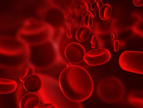 7 Σπιτικές θεραπείες για να ενισχύσετε τα αιμοφόρα αγγεία σας