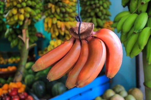 Κόκκινες μπανάνες: Ποια είναι τα οφέλη τους;