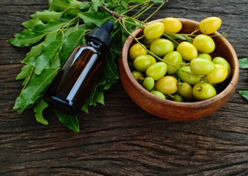 Πώς να χρησιμοποιήσετε το έλαιο neem στα φυτά σας