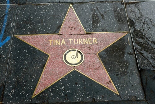 Tina Turner: Η θαρραλέα μάχη της με τα προβλήματα υγείας