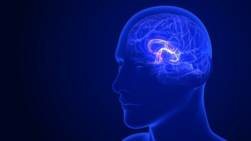 6 τρόποι για να διεγείρετε τον υποθάλαμο για υγιή λειτουργία